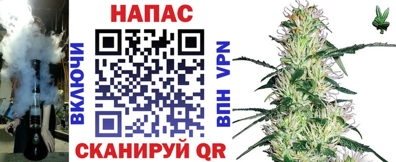 МАРИХУАНА конопля Губаха